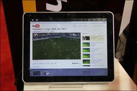 javhd国产高清视频