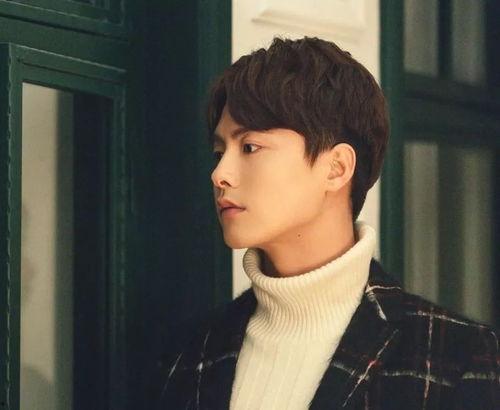 国产现代剧男主角合集视频,风采各异，谁是你心中的最佳男主角？