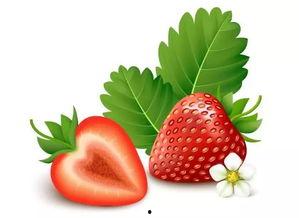 草莓国产视频免费观看 t.cn,点击观看精彩视频！